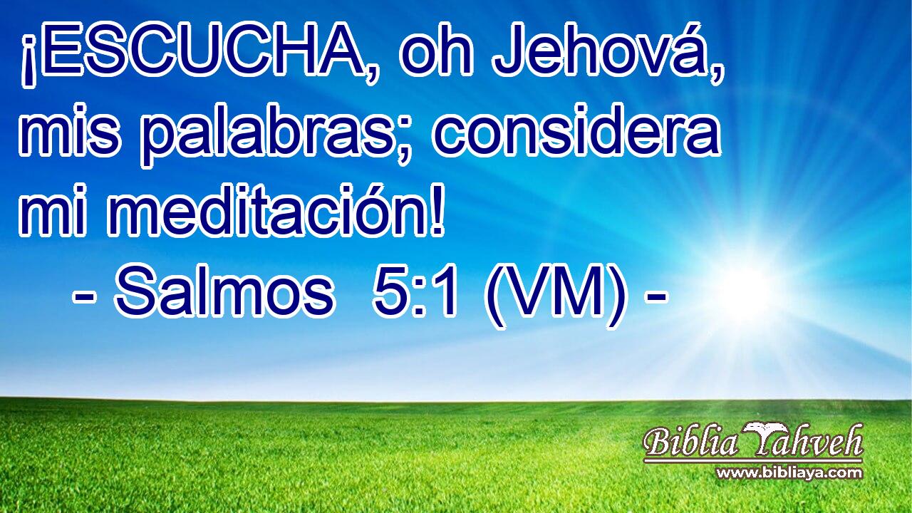  ¡ESCUCHA, oh Jehová, mis palabras; considera mi meditación! 