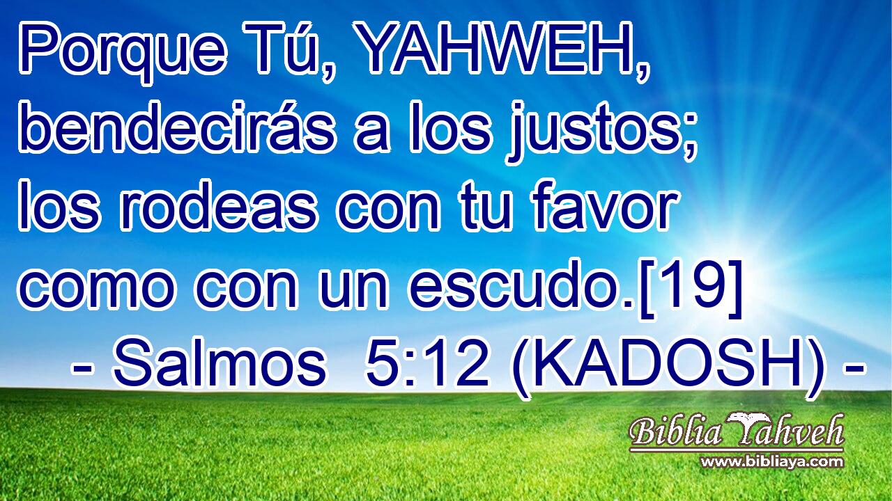  Porque Tú, YAHWEH, bendecirás a los justos; los rodeas con tu favor como con un escudo.[19] 