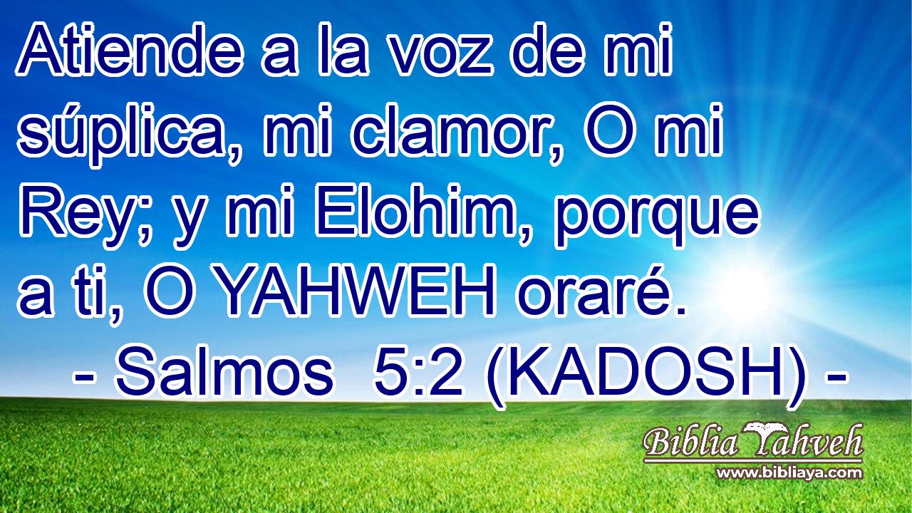  Atiende a la voz de mi súplica, mi clamor, O mi Rey; y mi Elohim, porque a ti, O YAHWEH oraré. 