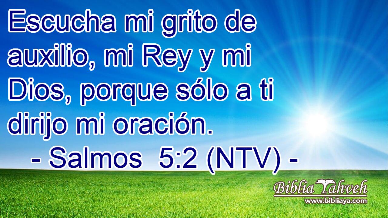 Escucha mi grito de auxilio, mi Rey y mi Dios, porque sólo a ti dirijo mi oración.