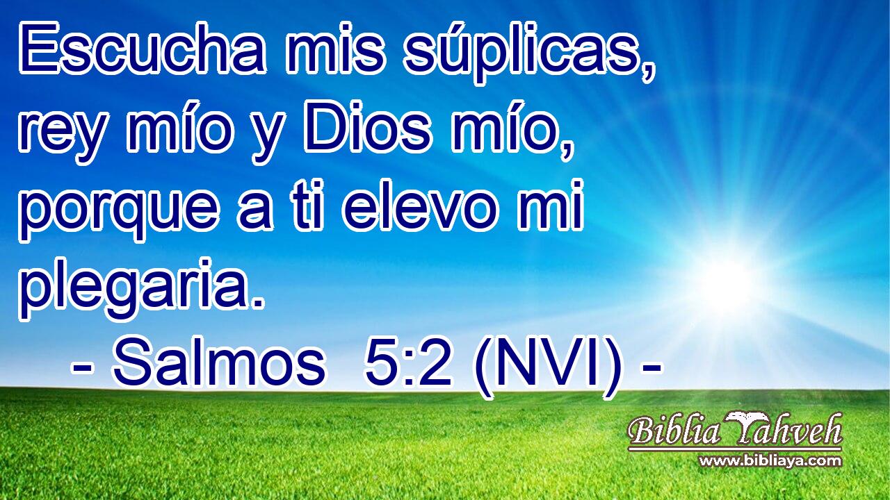  Escucha mis súplicas, rey mío y Dios mío, porque a ti elevo mi plegaria. 