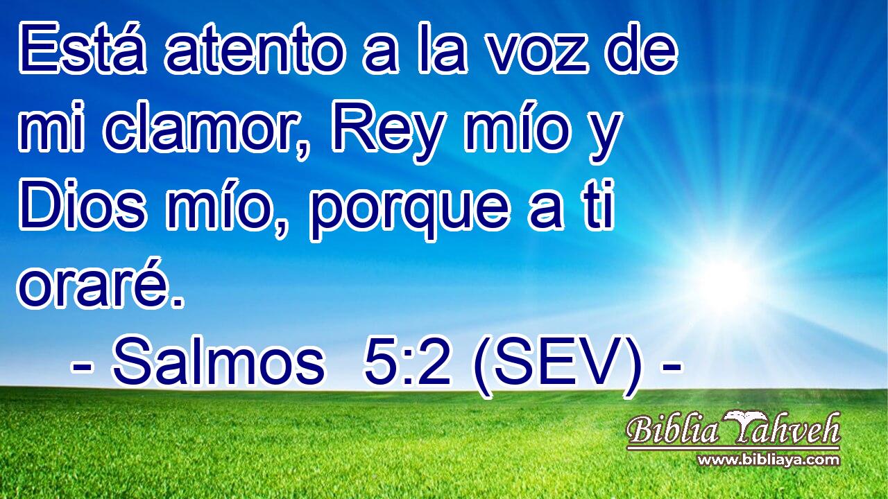 Está atento a la voz de mi clamor, Rey mío y Dios mío, porque a ti oraré.