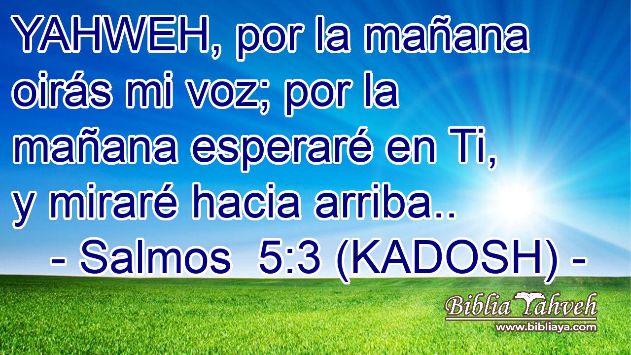  YAHWEH, por la mañana oirás mi voz; por la mañana esperaré en Ti, y miraré hacia arriba.. 