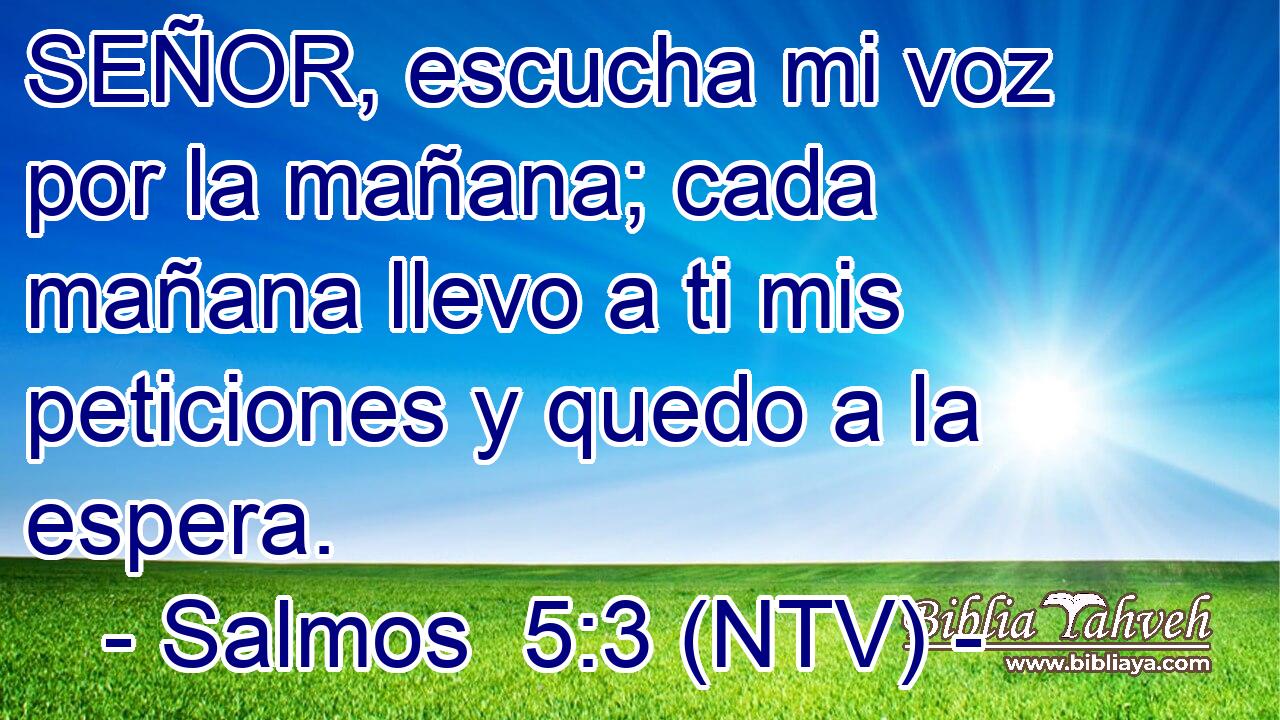 SEÑOR, escucha mi voz por la mañana; cada mañana llevo a ti mis peticiones y quedo a la espera.