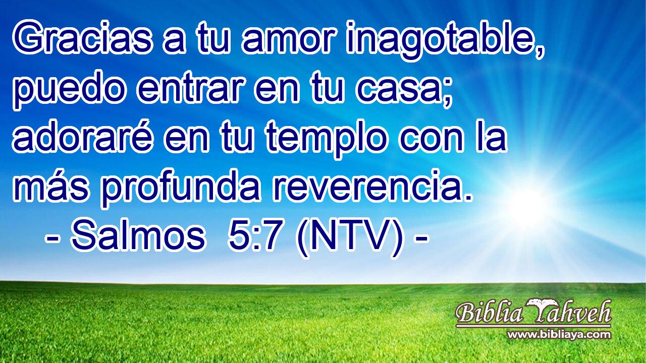 Gracias a tu amor inagotable, puedo entrar en tu casa; adoraré en tu templo con la más profunda reverencia.