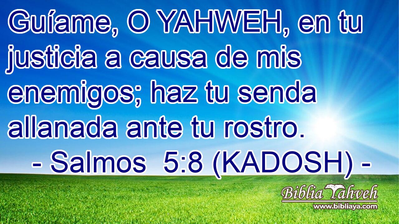  Guíame, O YAHWEH, en tu justicia a causa de mis enemigos; haz tu senda allanada ante tu rostro. 