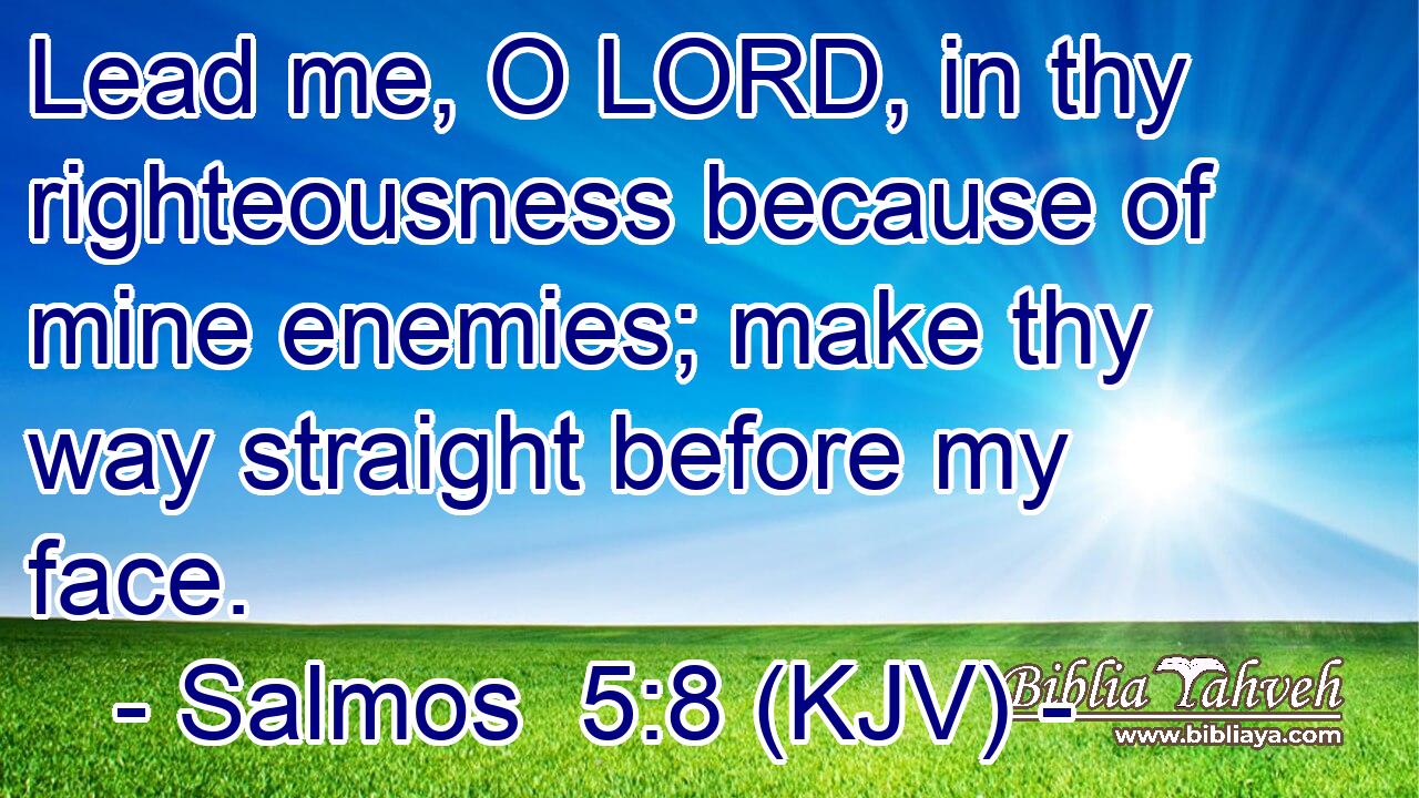 Lead me, O LORD, in thy righteousness because of mine enemies; make thy way straight before my face.