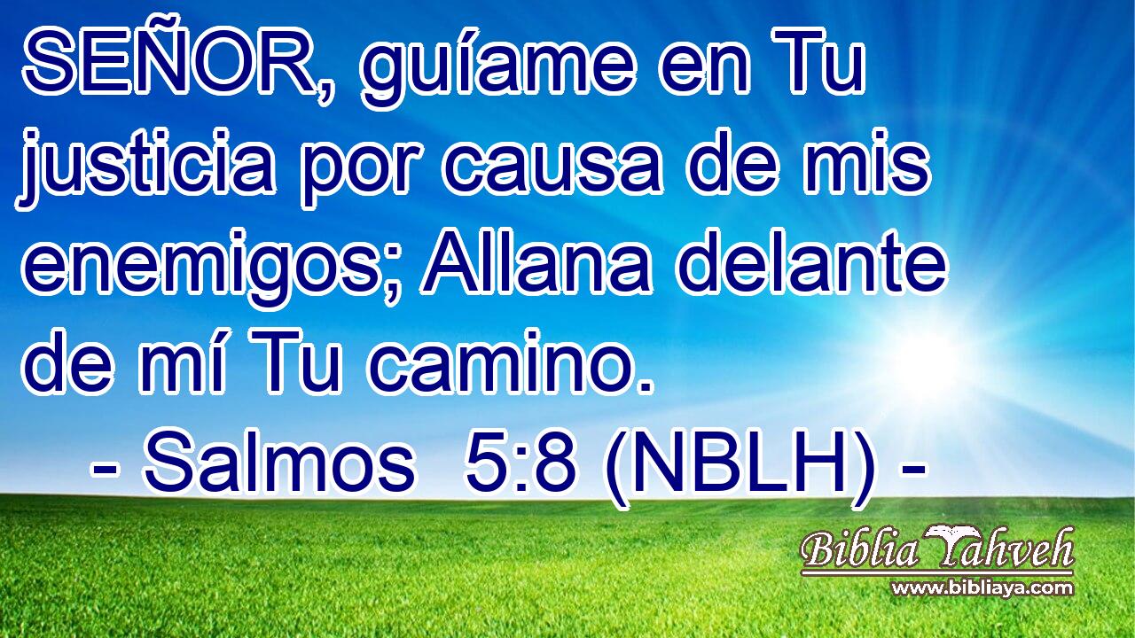  SEÑOR, guíame en Tu justicia por causa de mis enemigos; Allana delante de mí Tu camino. 