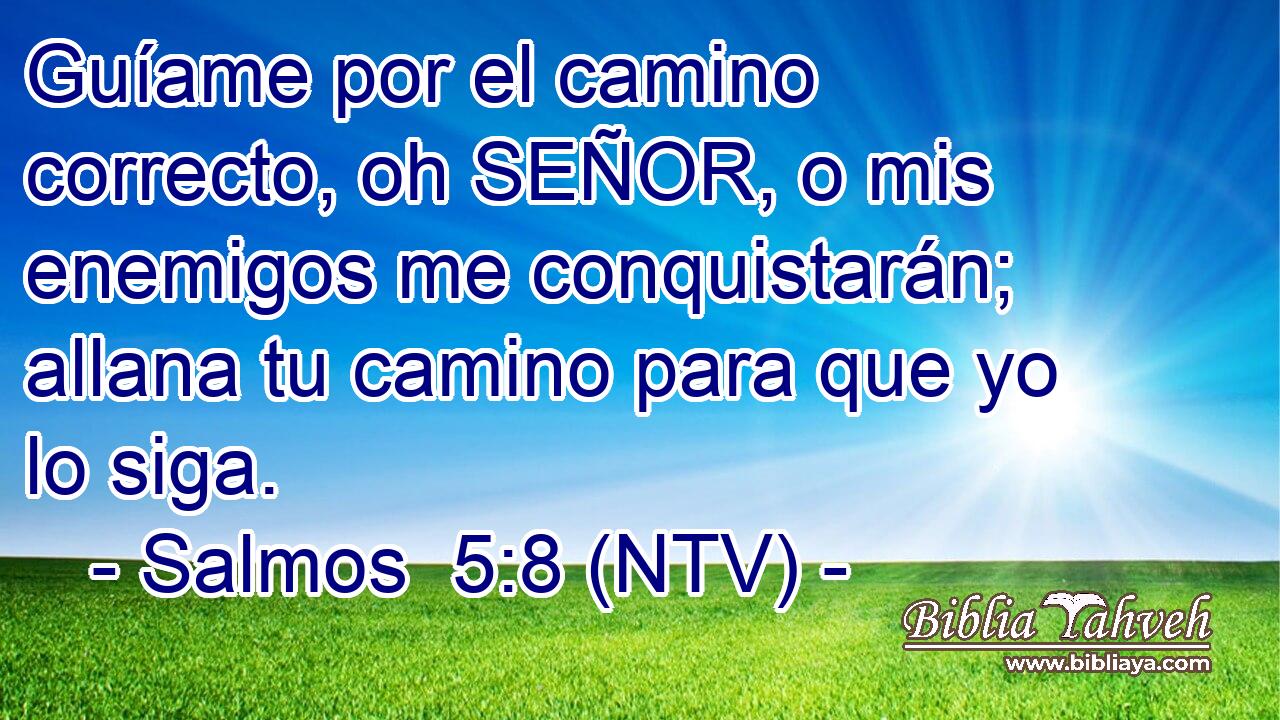 Guíame por el camino correcto, oh SEÑOR, o mis enemigos me conquistarán; allana tu camino para que yo lo siga.