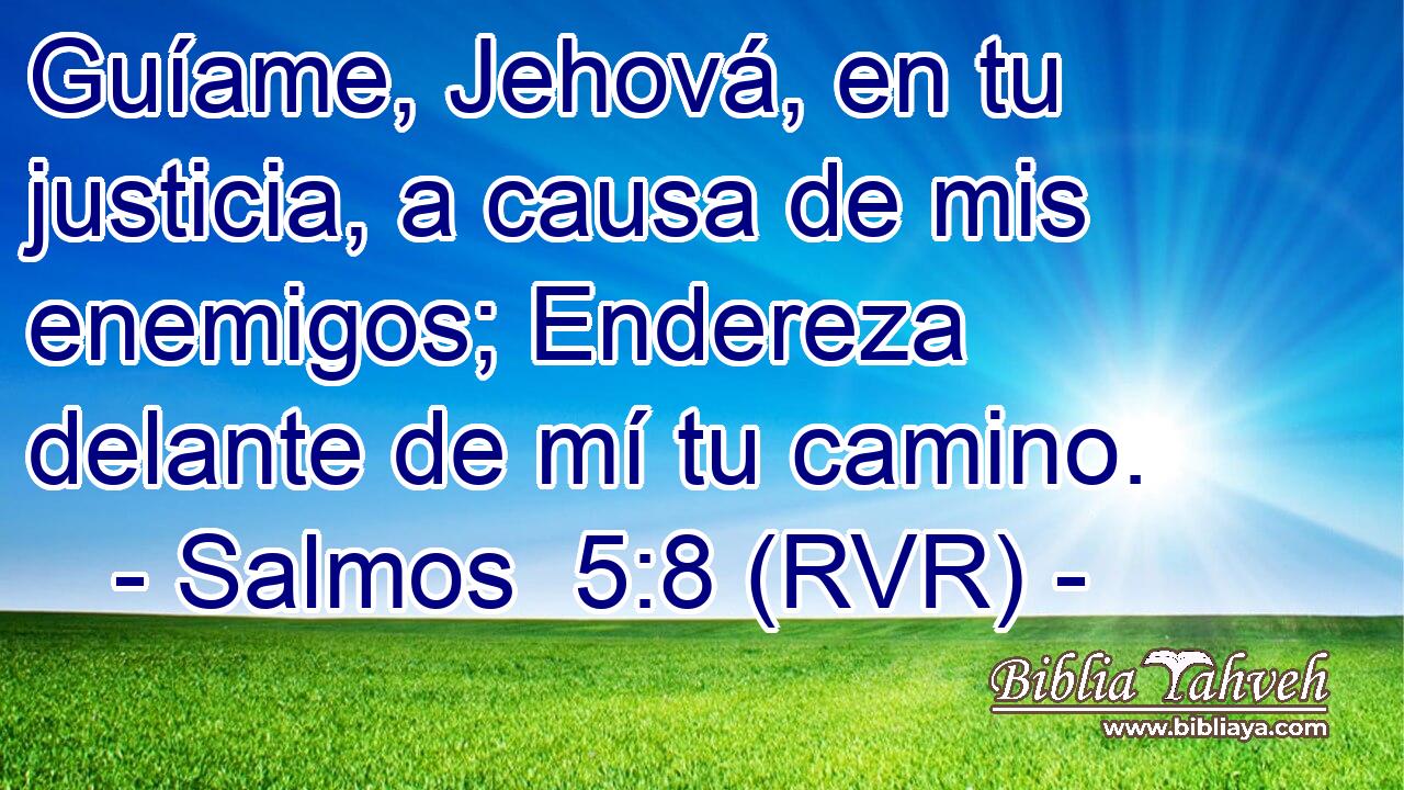 Guíame, Jehová, en tu justicia, a causa de mis enemigos; Endereza delante de mí tu camino.
