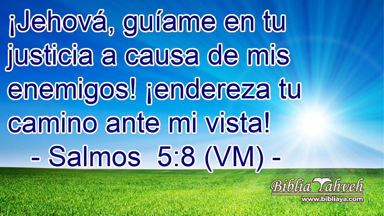  ¡Jehová, guíame en tu justicia a causa de mis enemigos! ¡endereza tu camino ante mi vista! 