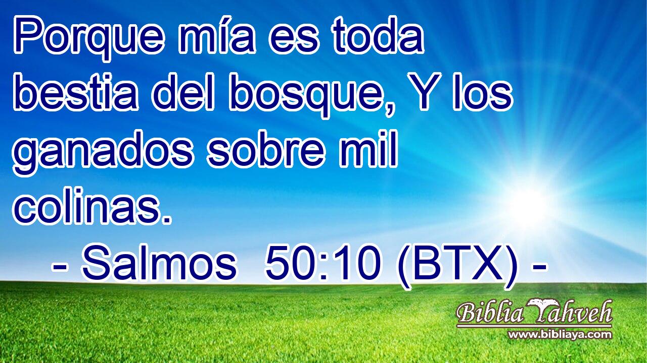 Porque mía es toda bestia del bosque, Y los ganados sobre mil colinas.