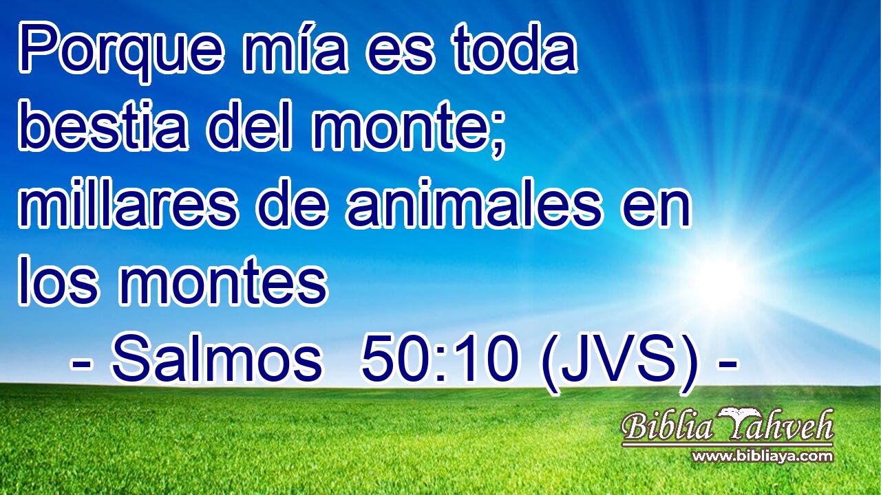 Porque mía es toda bestia del monte; millares de animales en los montes