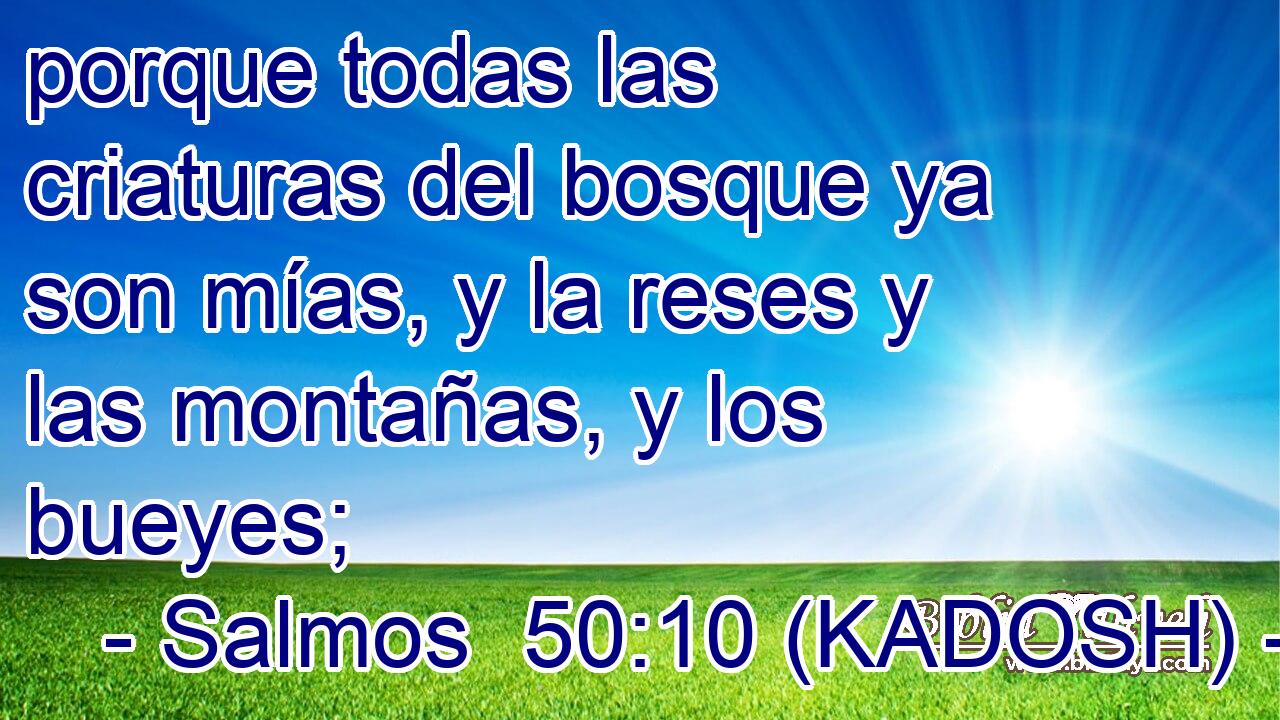  porque todas las criaturas del bosque ya son mías, y la reses y las montañas, y los bueyes; 