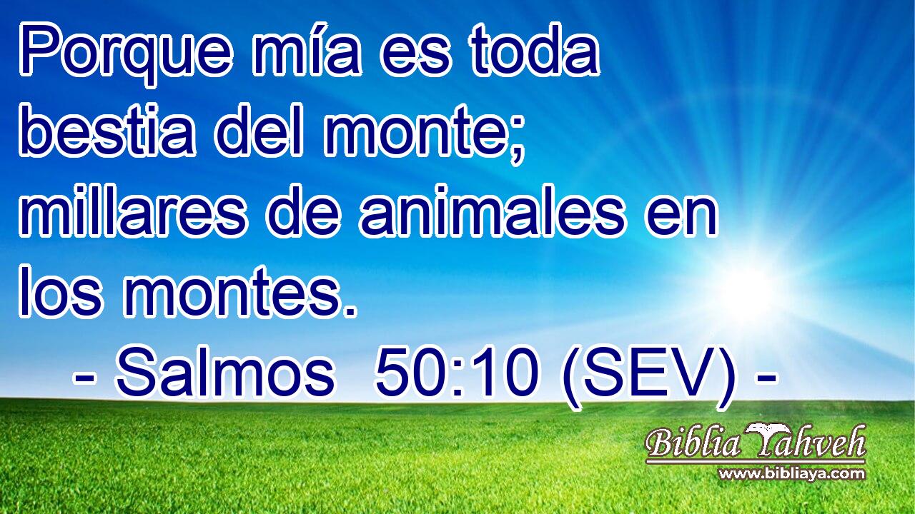 Porque mía es toda bestia del monte; millares de animales en los montes.