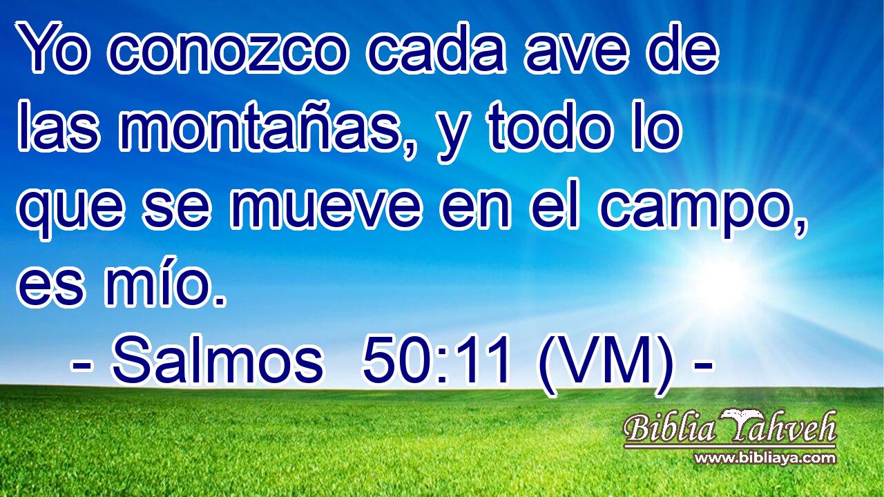  Yo conozco cada ave de las montañas, y todo lo que se mueve en el campo, es mío. 