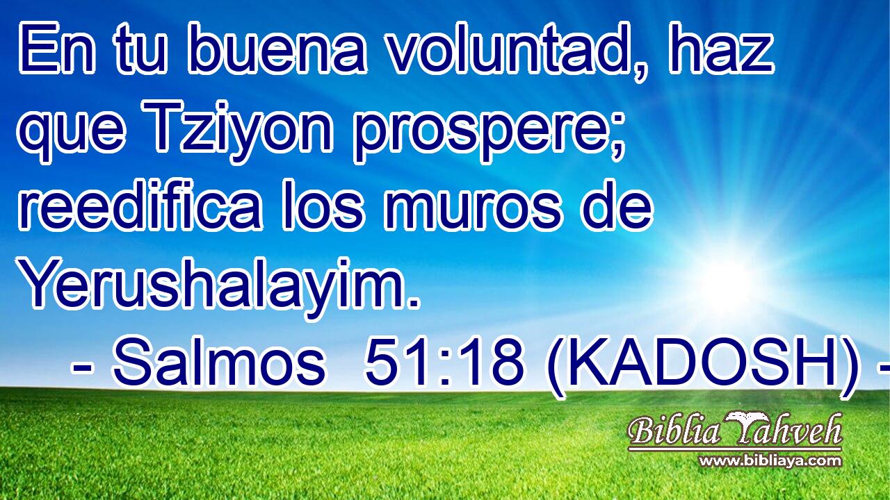  En tu buena voluntad, haz que Tziyon prospere; reedifica los muros de Yerushalayim. 