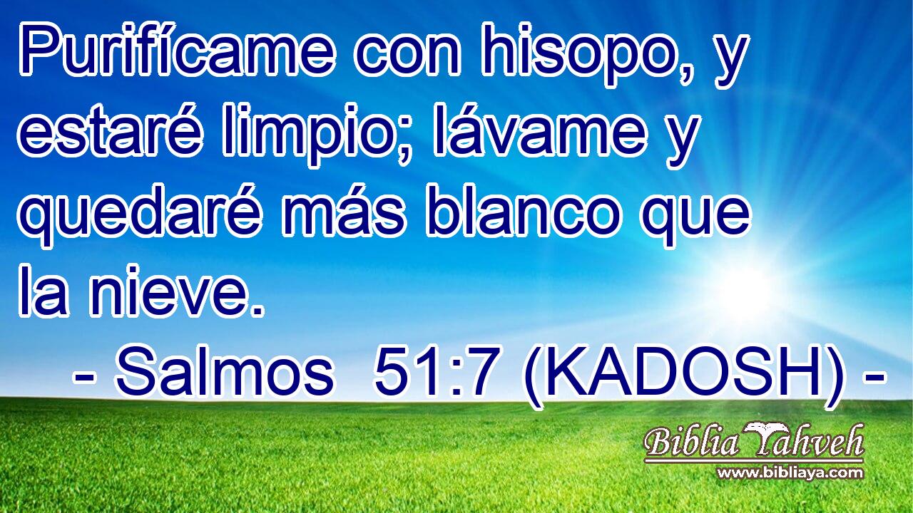  Purifícame con hisopo, y estaré limpio; lávame y quedaré más blanco que la nieve. 