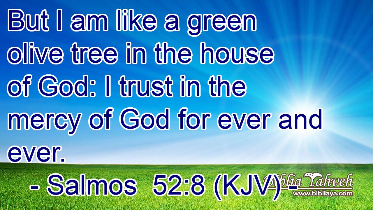 But I am like a green olive tree in the house of God: I trust in the mercy of God for ever and ever.