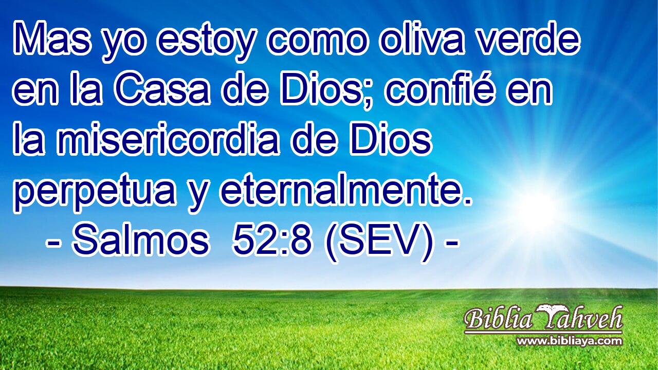 Mas yo estoy como oliva verde en la Casa de Dios; confié en la misericordia de Dios perpetua y eternalmente.