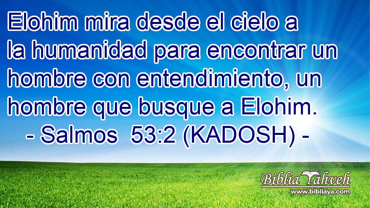  Elohim mira desde el cielo a la humanidad para encontrar un hombre con entendimiento, un hombre que busque a Elohim. 