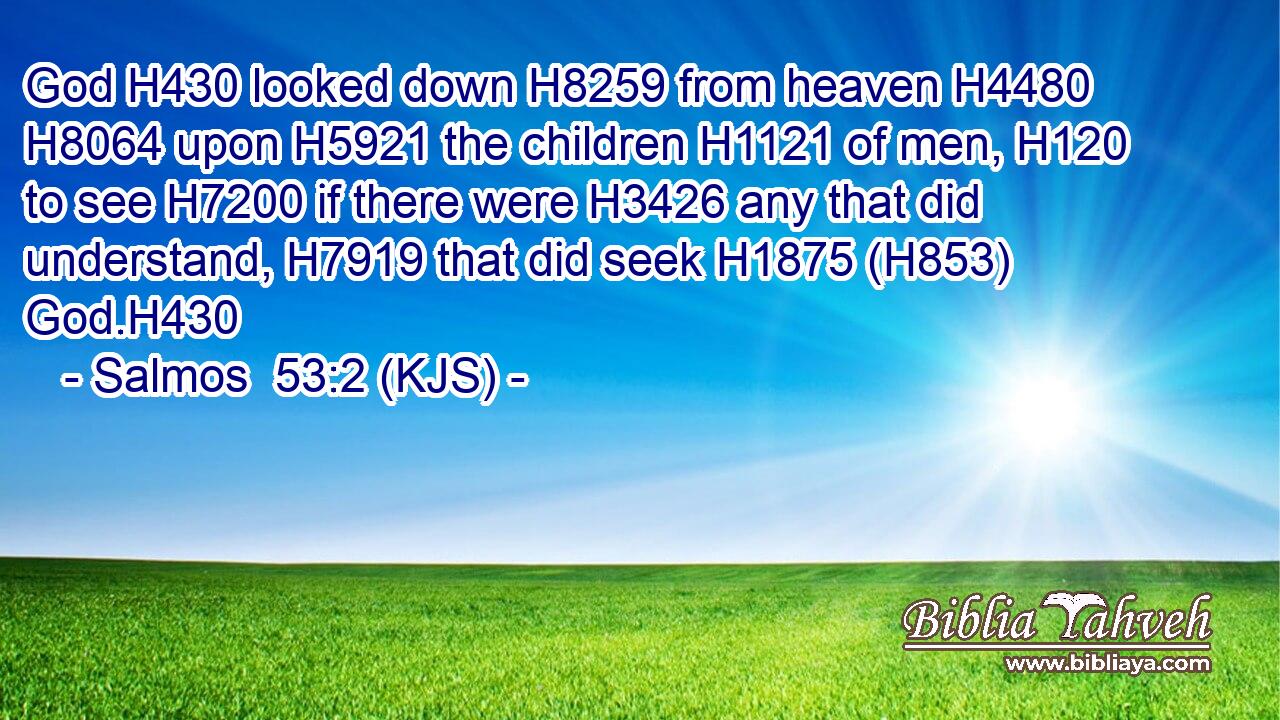 God H430 looked down H8259 from heaven H4480  H8064 upon H5921 the children H1121 of men, H120 to see H7200 if there were H3426 any that did understand, H7919 that did seek H1875 (H853) God.H430