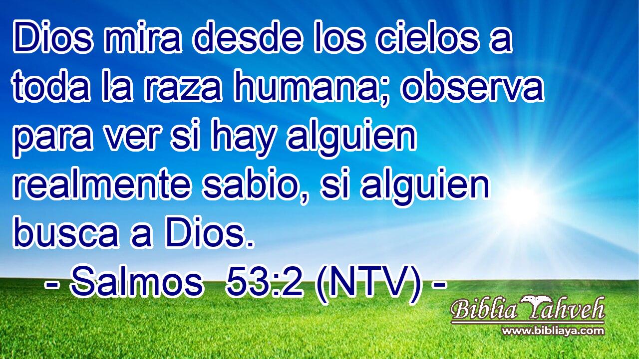 Dios mira desde los cielos a toda la raza humana; observa para ver si hay alguien realmente sabio, si alguien busca a Dios.
