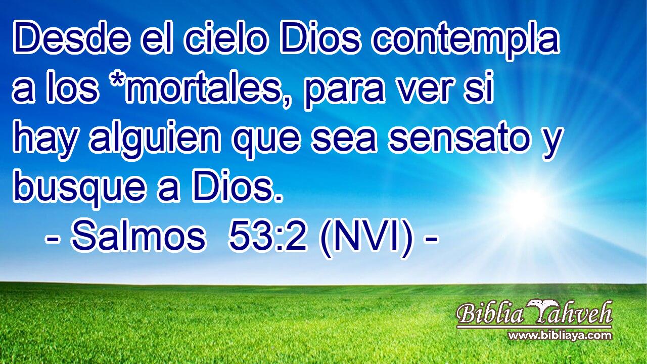  Desde el cielo Dios contempla a los *mortales, para ver si hay alguien que sea sensato y busque a Dios. 
