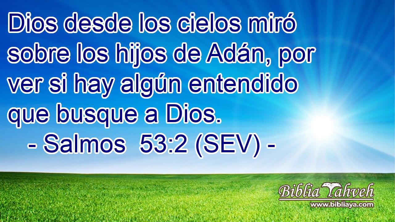 Dios desde los cielos miró sobre los hijos de Adán, por ver si hay algún entendido que busque a Dios.