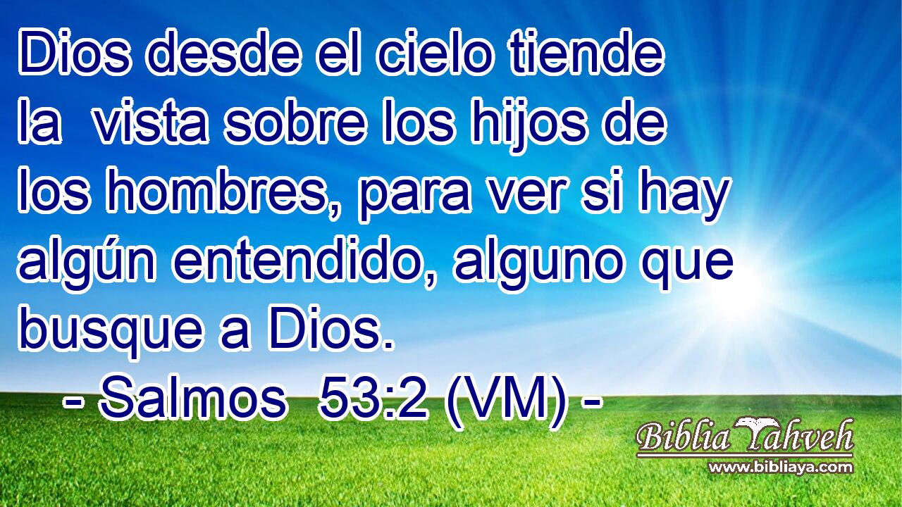  Dios desde el cielo tiende la  vista sobre los hijos de los hombres, para ver si hay algún entendido, alguno que busque a Dios. 