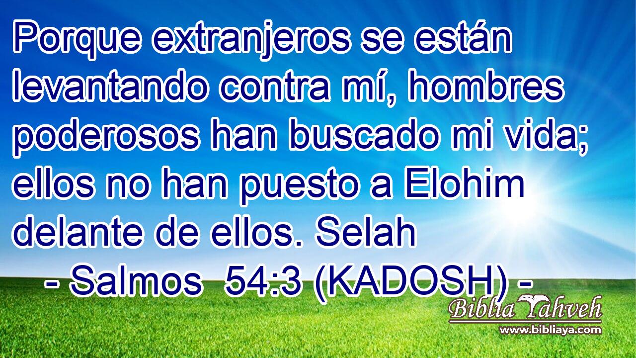  Porque extranjeros se están levantando contra mí, hombres poderosos han buscado mi vida; ellos no han puesto a Elohim delante de ellos. Selah 