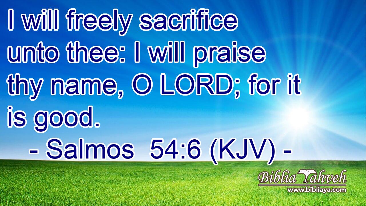 I will freely sacrifice unto thee: I will praise thy name, O LORD; for it is good.