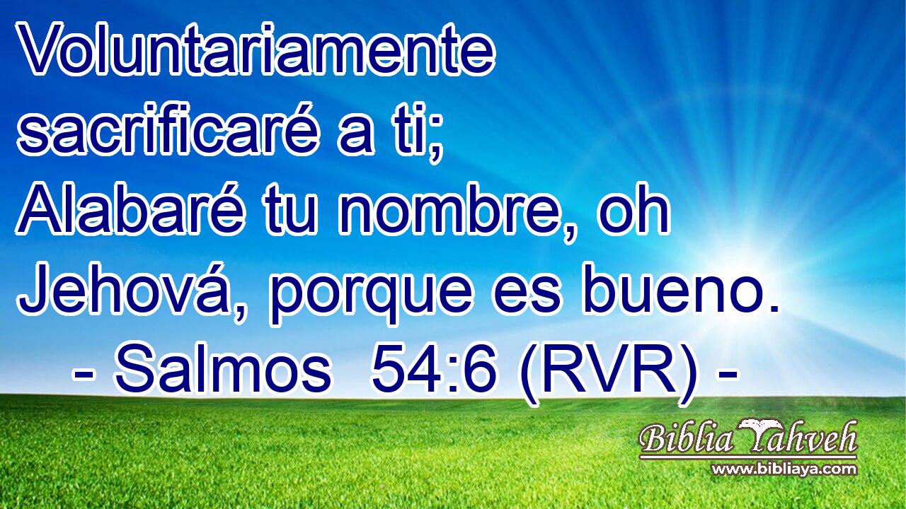 Voluntariamente sacrificaré a ti; Alabaré tu nombre, oh Jehová, porque es bueno.