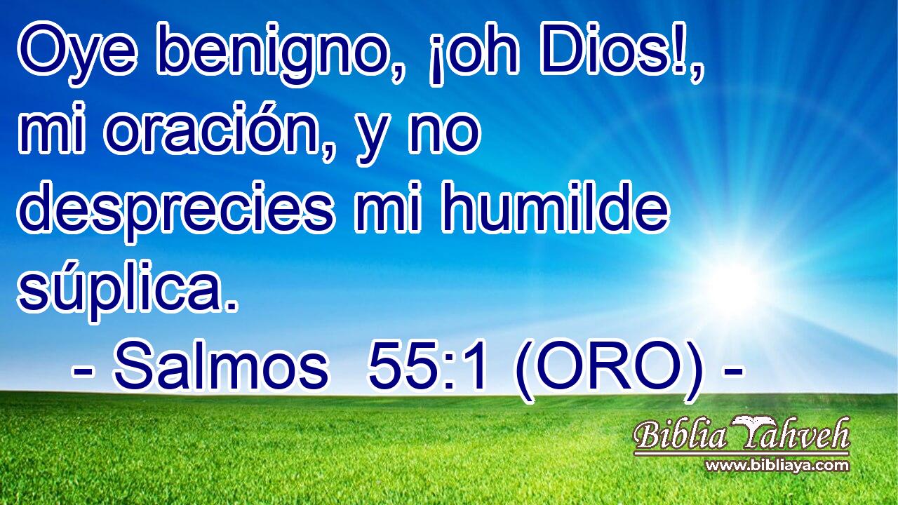  Oye benigno, ¡oh Dios!, mi oración, y no desprecies mi humilde súplica. 