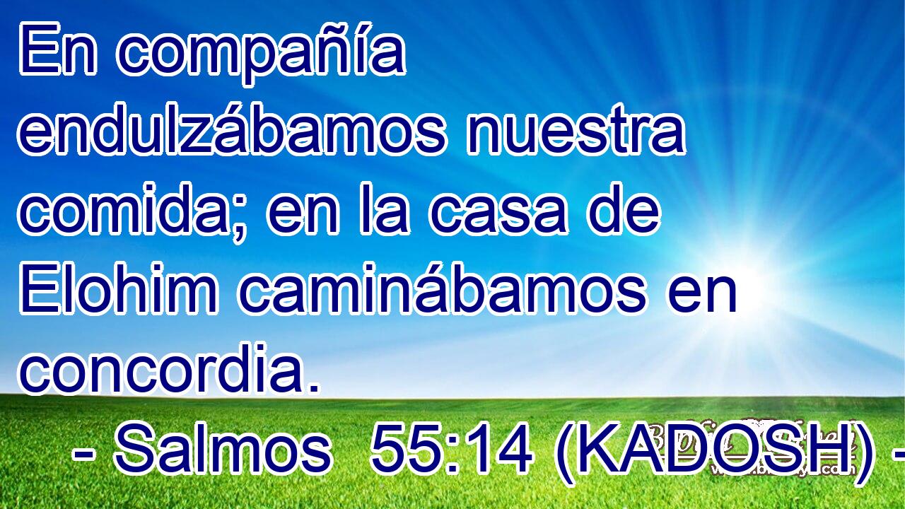  En compañía endulzábamos nuestra comida; en la casa de Elohim caminábamos en concordia. 