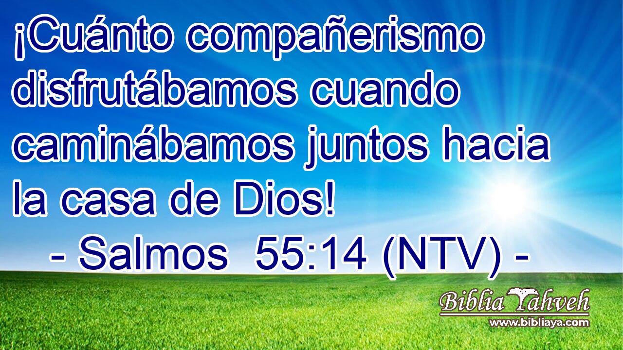 ¡Cuánto compañerismo disfrutábamos cuando caminábamos juntos hacia la casa de Dios!