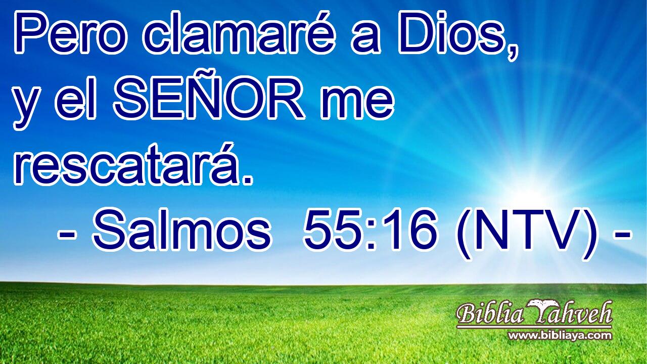 Pero clamaré a Dios, y el SEÑOR me rescatará.