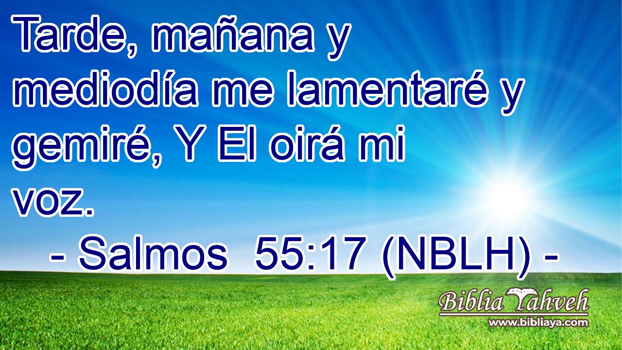  Tarde, mañana y mediodía me lamentaré y gemiré, Y El oirá mi voz. 