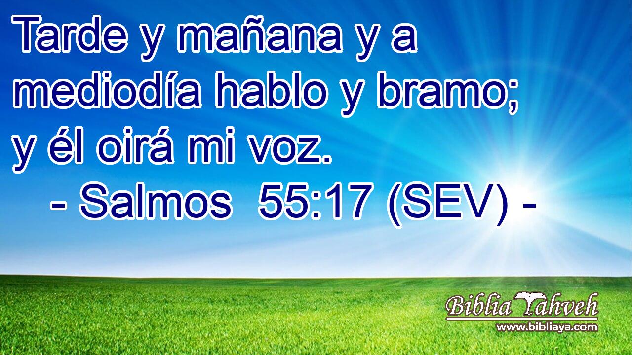 Tarde y mañana y a mediodía hablo y bramo; y él oirá mi voz.