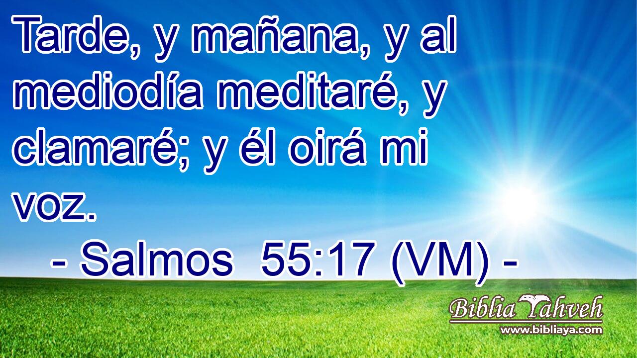  Tarde, y mañana, y al mediodía meditaré, y clamaré; y él oirá mi voz. 