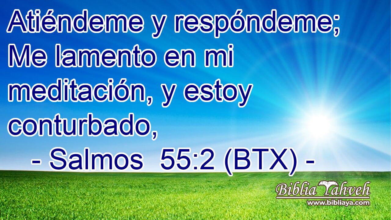 Atiéndeme y respóndeme; Me lamento en mi meditación, y estoy conturbado,