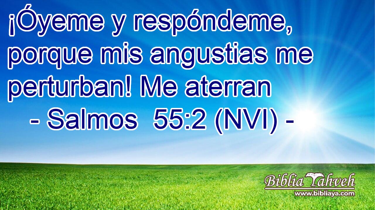  ¡Óyeme y respóndeme, porque mis angustias me perturban! Me aterran 