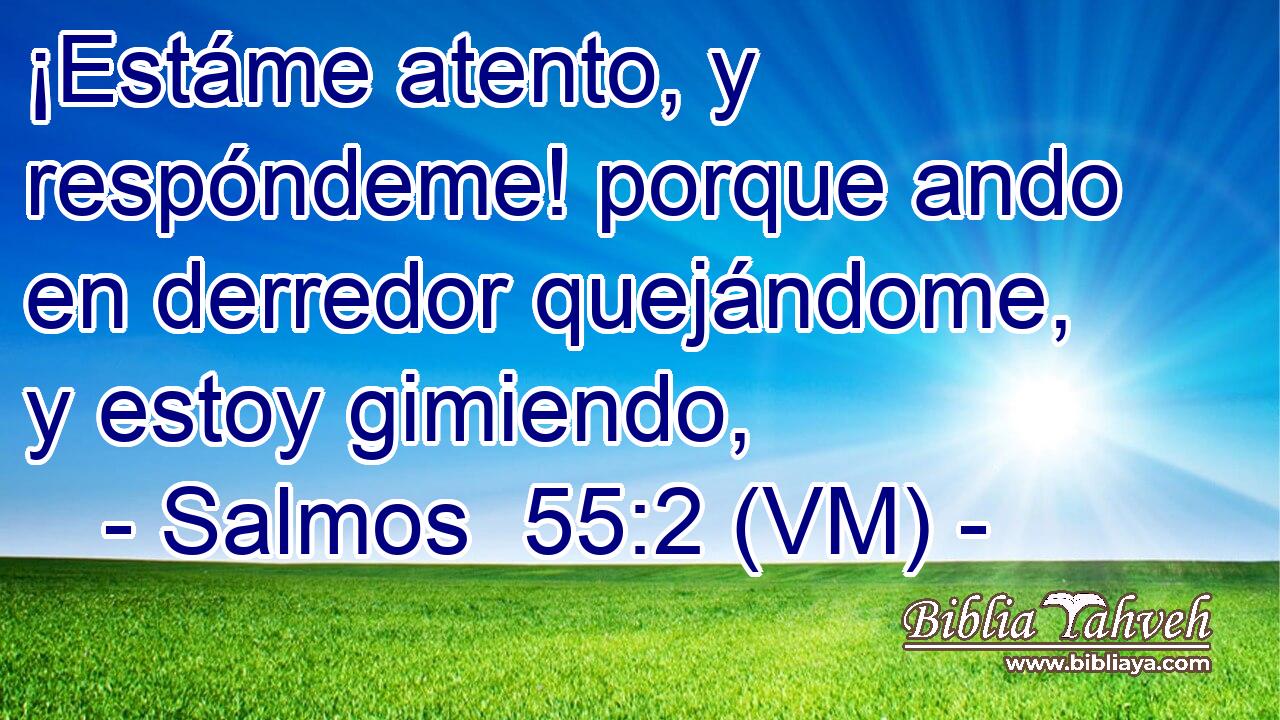  ¡Estáme atento, y respóndeme! porque ando en derredor quejándome, y estoy gimiendo, 