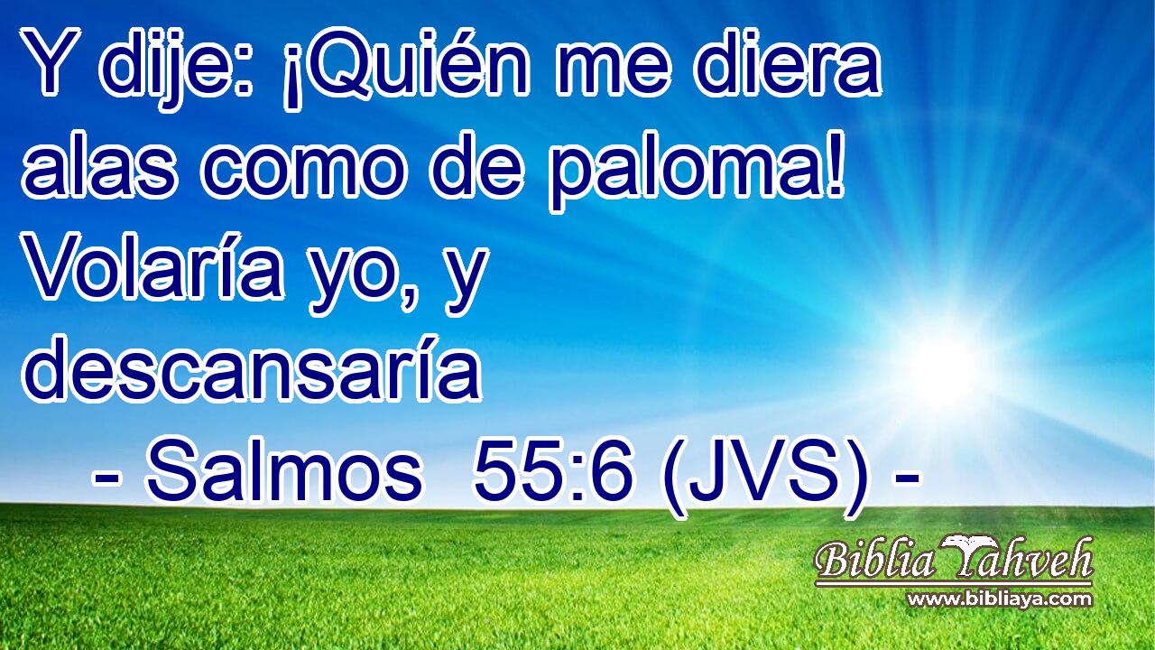 Y dije: ¡Quién me diera alas como de paloma! Volaría yo, y descansaría