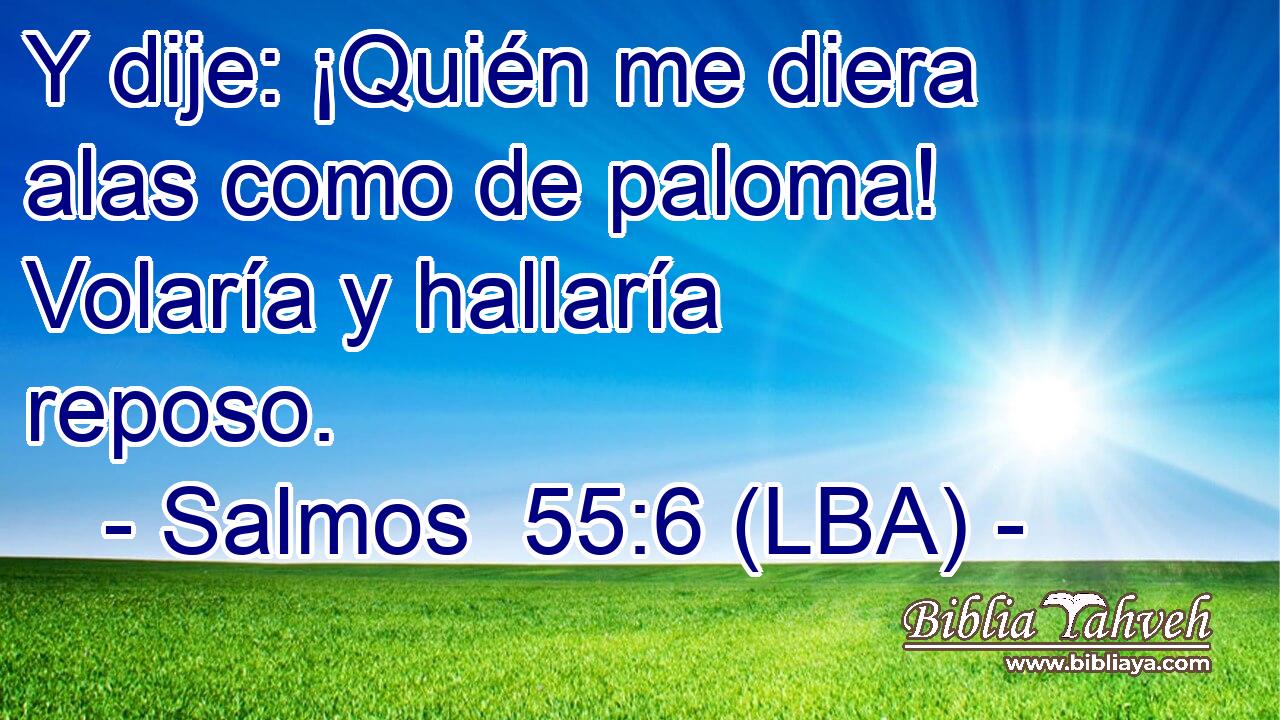 Y dije: ¡Quién me diera alas como de paloma! Volaría y hallaría reposo.