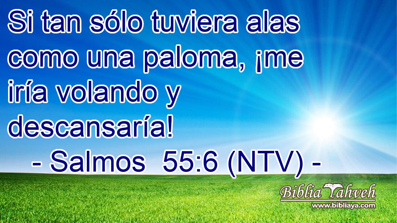 Si tan sólo tuviera alas como una paloma, ¡me iría volando y descansaría!