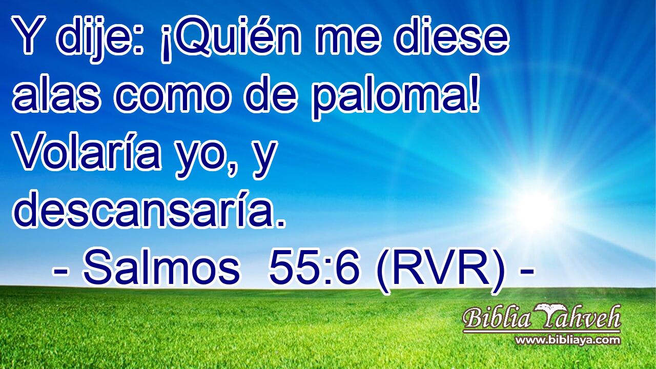 Y dije: ¡Quién me diese alas como de paloma! Volaría yo, y descansaría.