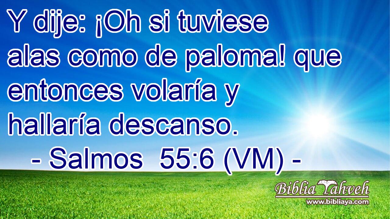 Y dije: ¡Oh si tuviese alas como de paloma! que entonces volaría y hallaría descanso. 