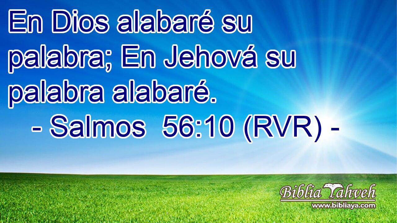 En Dios alabaré su palabra; En Jehová su palabra alabaré.