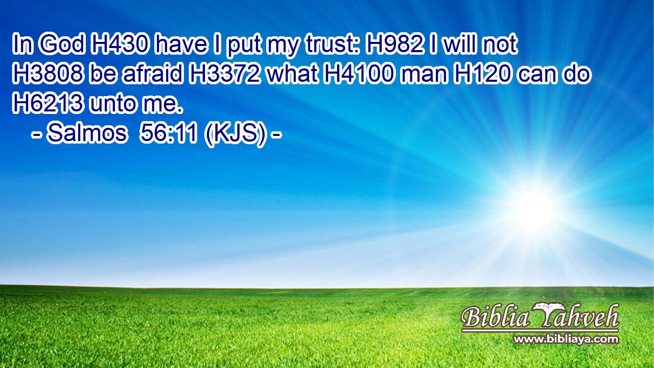 In God H430 have I put my trust: H982 I will not H3808 be afraid H3372 what H4100 man H120 can do H6213 unto me.